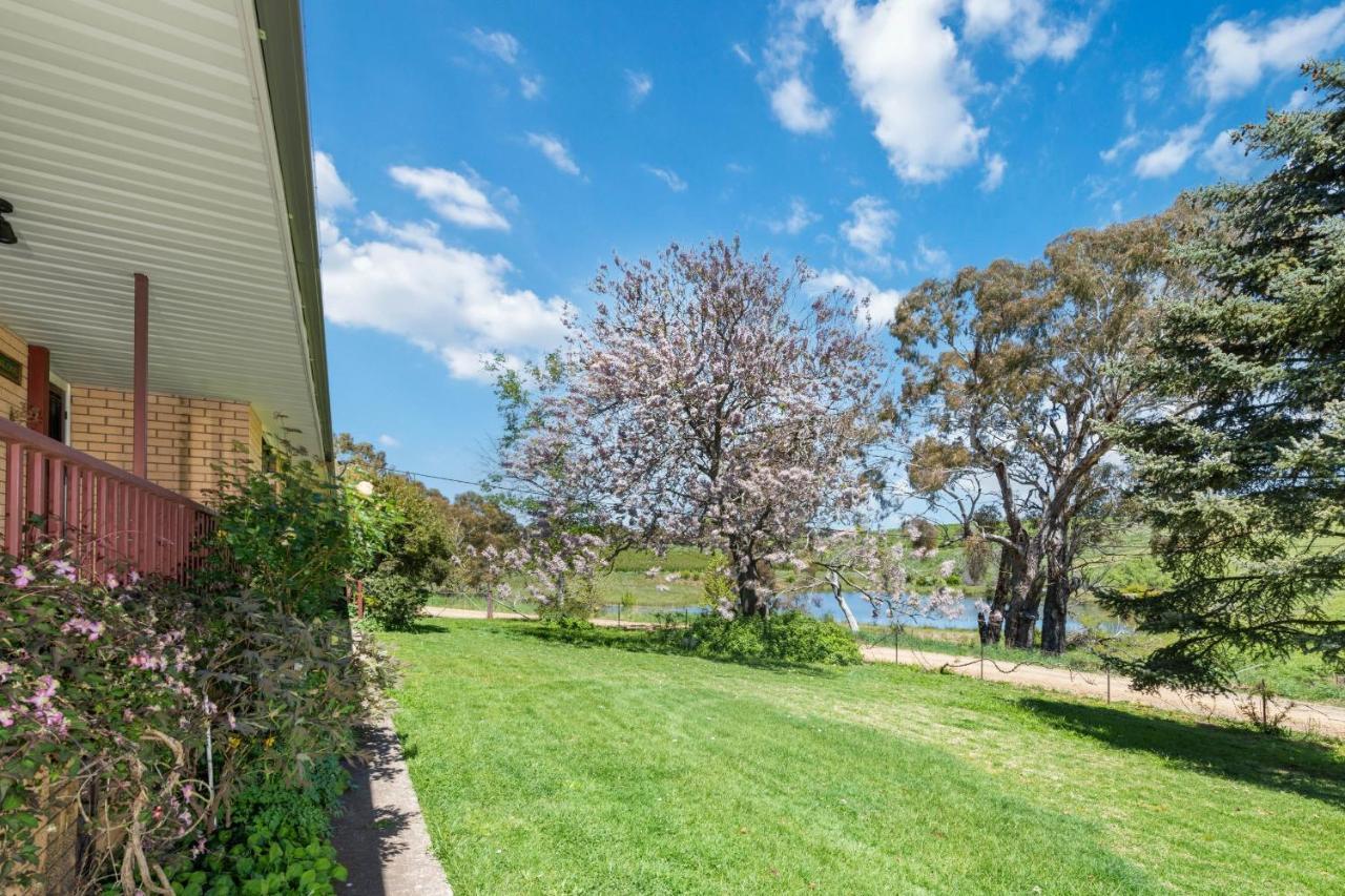 Bendalong - Rural Retreat, Short Drive To Cbd Orange Exterior foto
