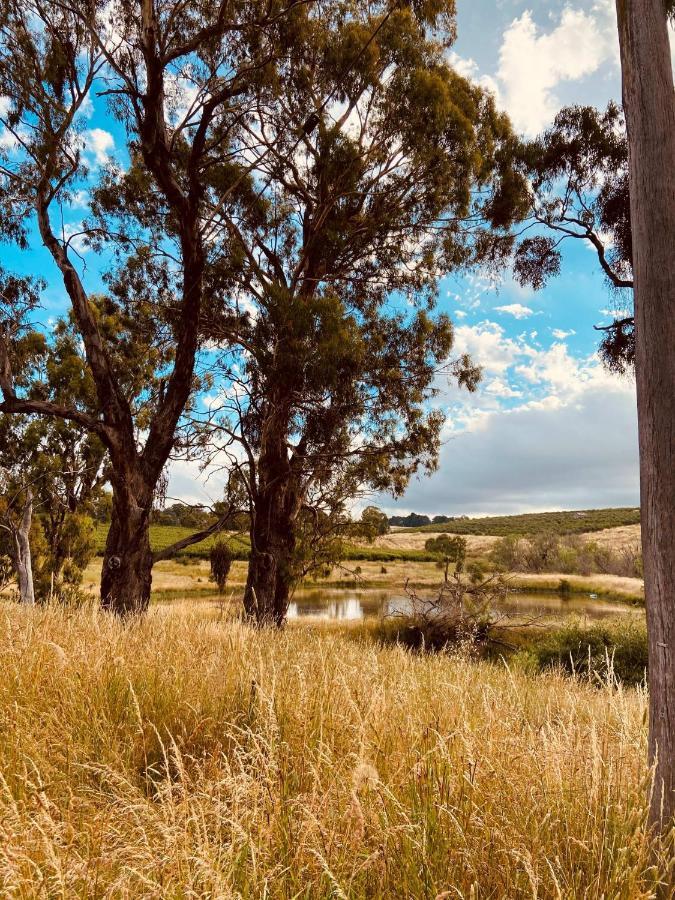 Bendalong - Rural Retreat, Short Drive To Cbd Orange Exterior foto
